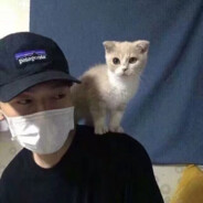 橙留香喝骨头汤砍斧头