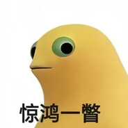 我就菜你气不气