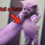Meowski