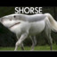 Scott the SHORSE