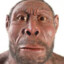 Homo Erectus