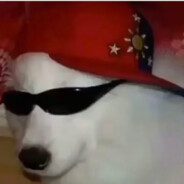 Thenox avatar
