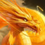 Gold_Dragon334058