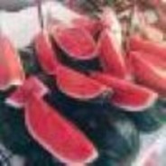 麦林炮手李云龙