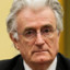 Leader of bosnia