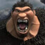 GRUG
