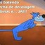 GatoAjato