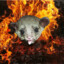 FireKinkajou