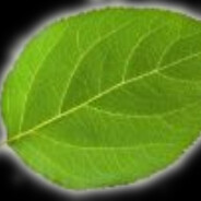 leaf.png