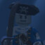 Skelly Pirate