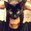 Catman