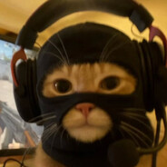 igor - steam id 76561198251786938