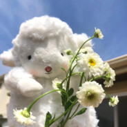 potatooooooooooooooo