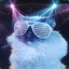 Disco Cat