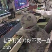 骚气宝宝猴~