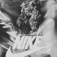 [I_L_G]Муравей._.