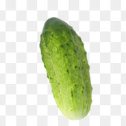 ЛЕТУЧИЙ ОГУРЧИК