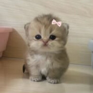 Taichka ♡