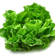 Cabbage