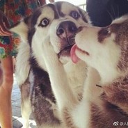 老乡开门送温暖