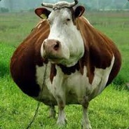_CoW_