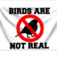 BIRDS ARE NOT REAL