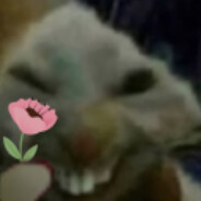 Salsa