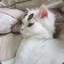 粥晴天