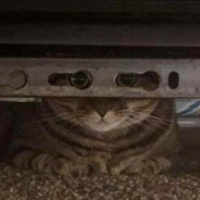 金银财宝多多益善