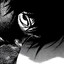 jump444