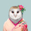 DJ Owl☾✰