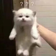 注册个账号真麻烦