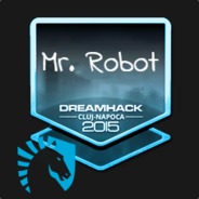 Mr. Robot