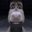 Doug