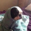 koshachya_myatka