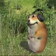 igorskomorokharoblox