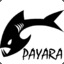 Payara