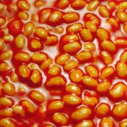 Beans