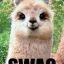 ChronicLlama95