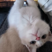 所以你能吃我的G8吗？