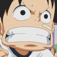 白茶清欢无别事