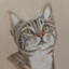 a drawing of a brown cat