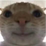 猴子日记