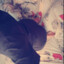 polinwqv