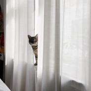 yekki - steam id 76561198056441446