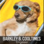 Barkley B. Cooltimes