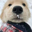 雪碧没气儿