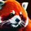 Roter Panda @ Gut&amp;Günstig