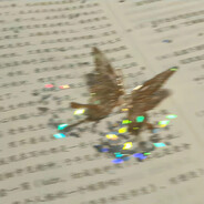 风吹散了蒲公英