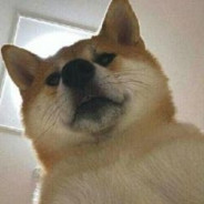 我一定会吃掉怪物细胞